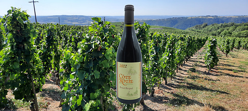 La promotion de Printemps sur Vignalis !