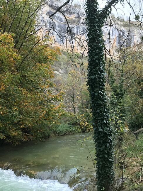 Au domaine Courbet