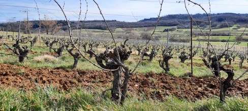 Domaine Eric Thill